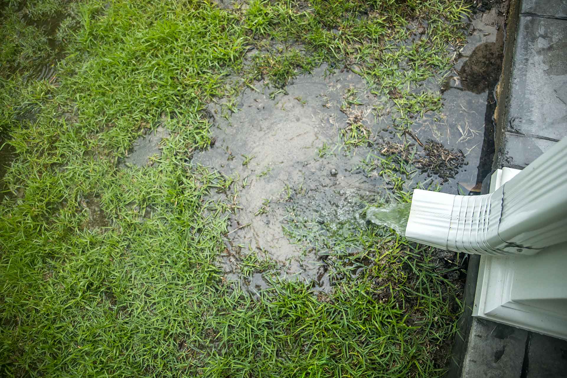 water pooling from downspout