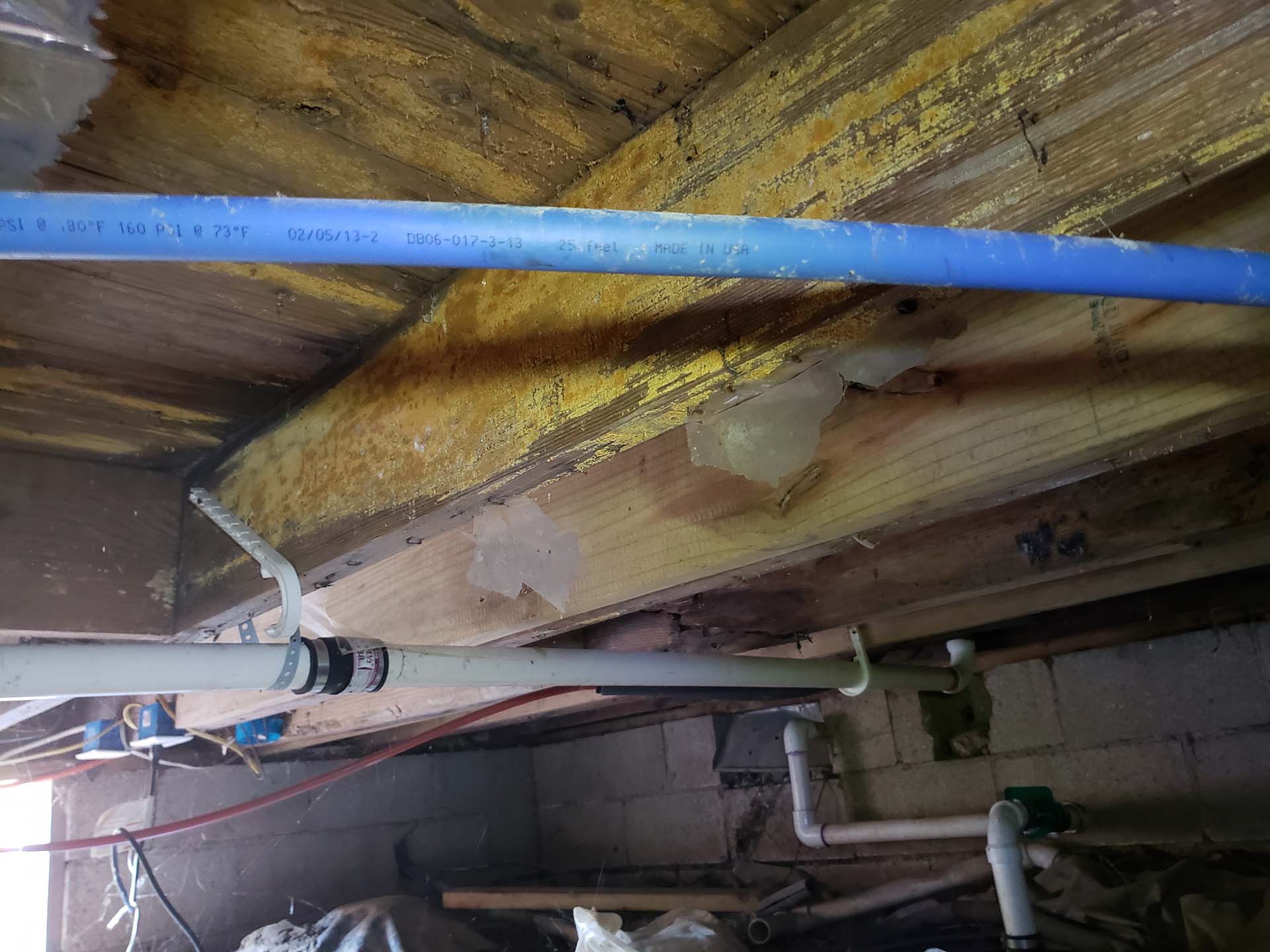 crawl space mold problems
