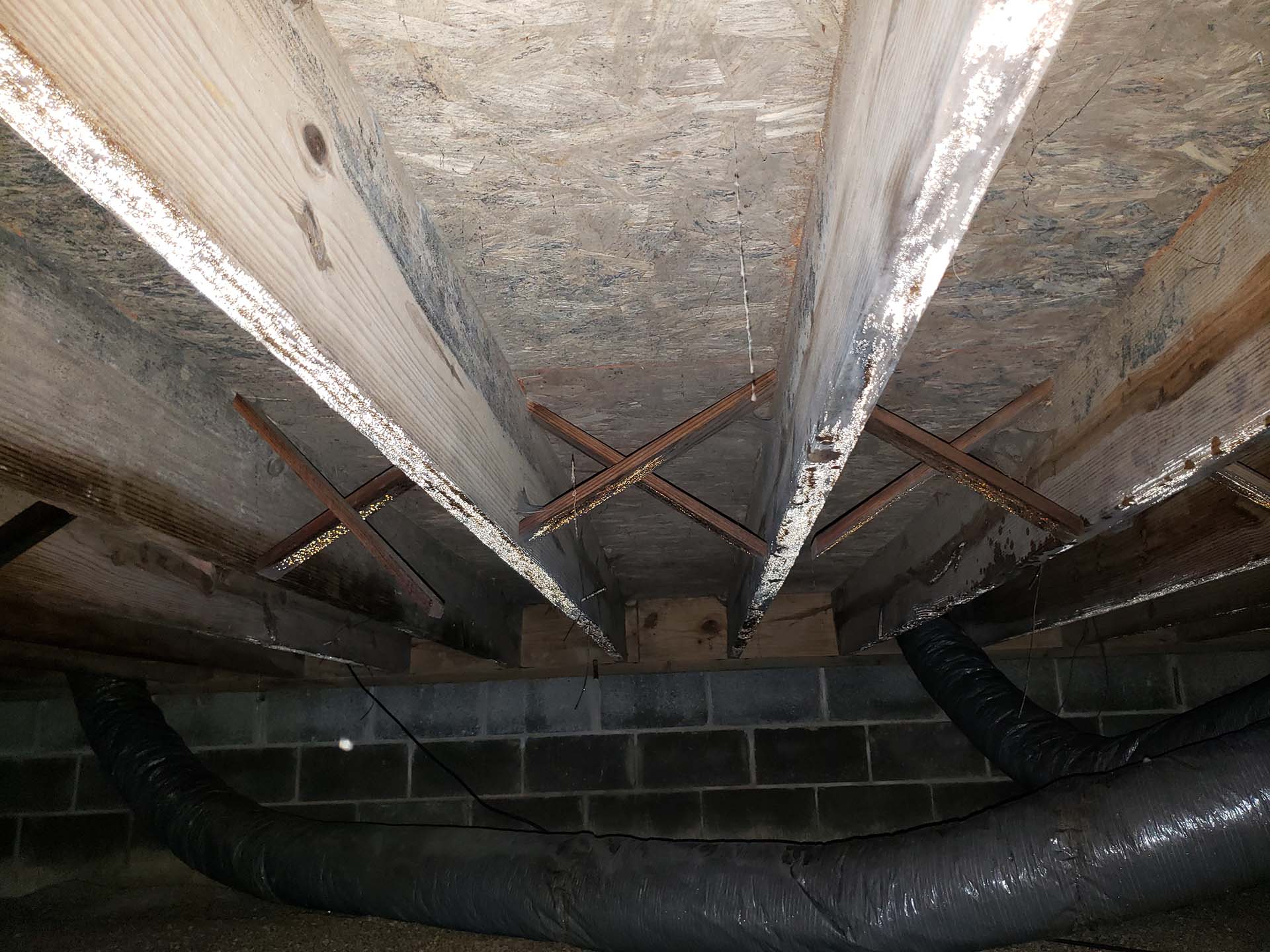 crawl space mold problems