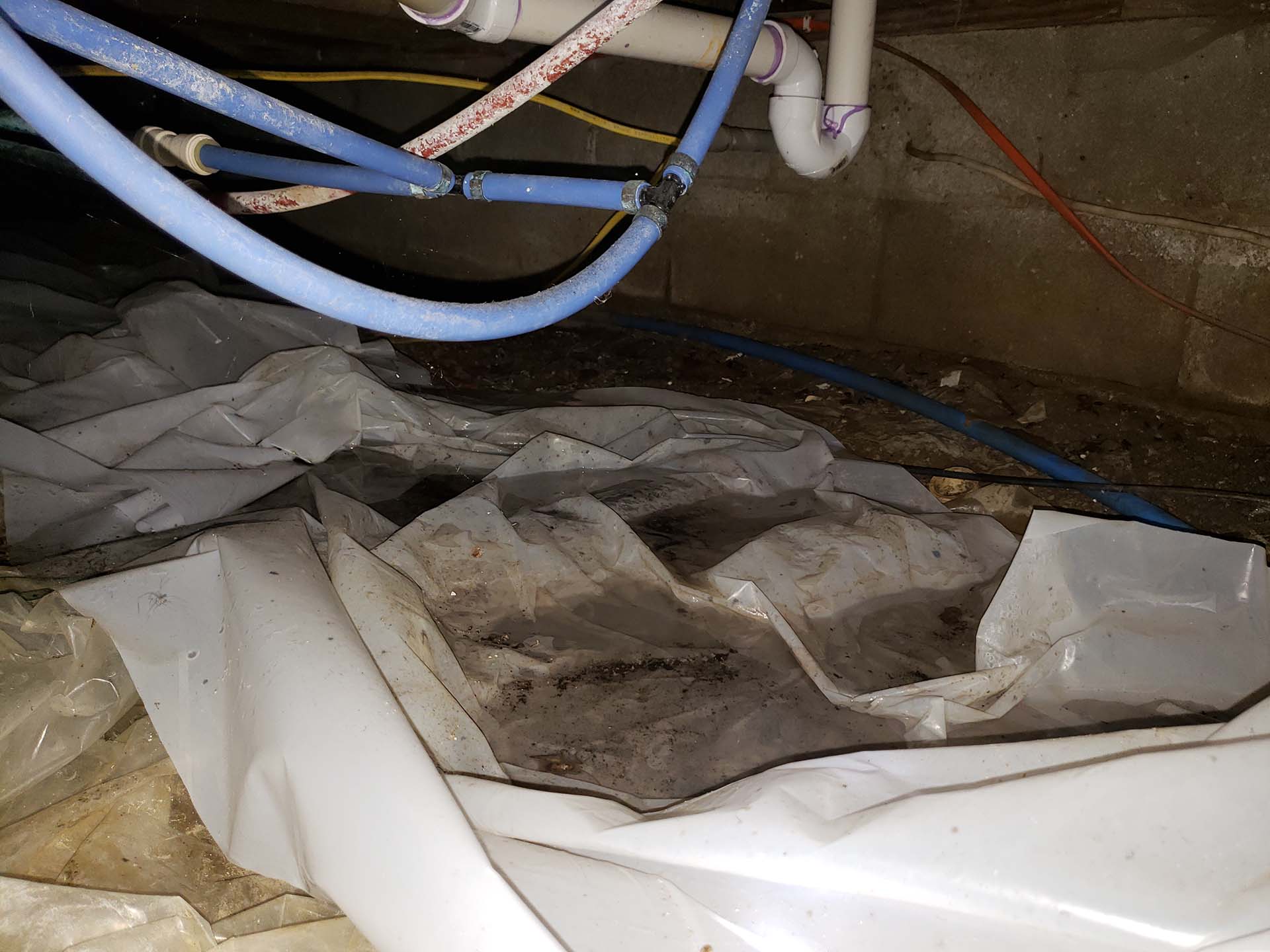crawl space water problems