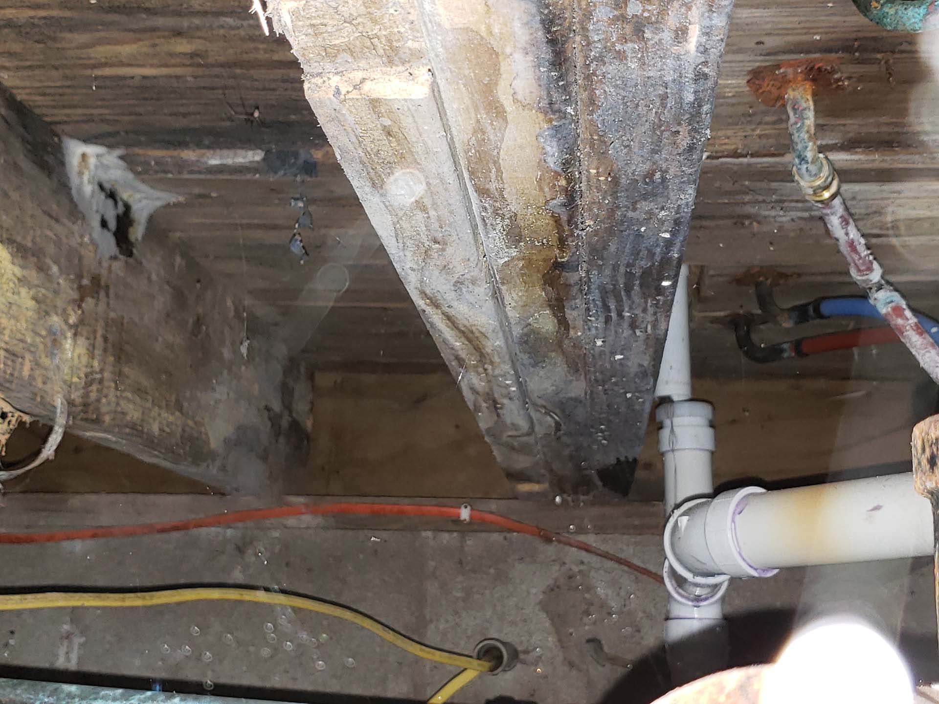 crawl space wood damage