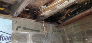 crawl space wood rot