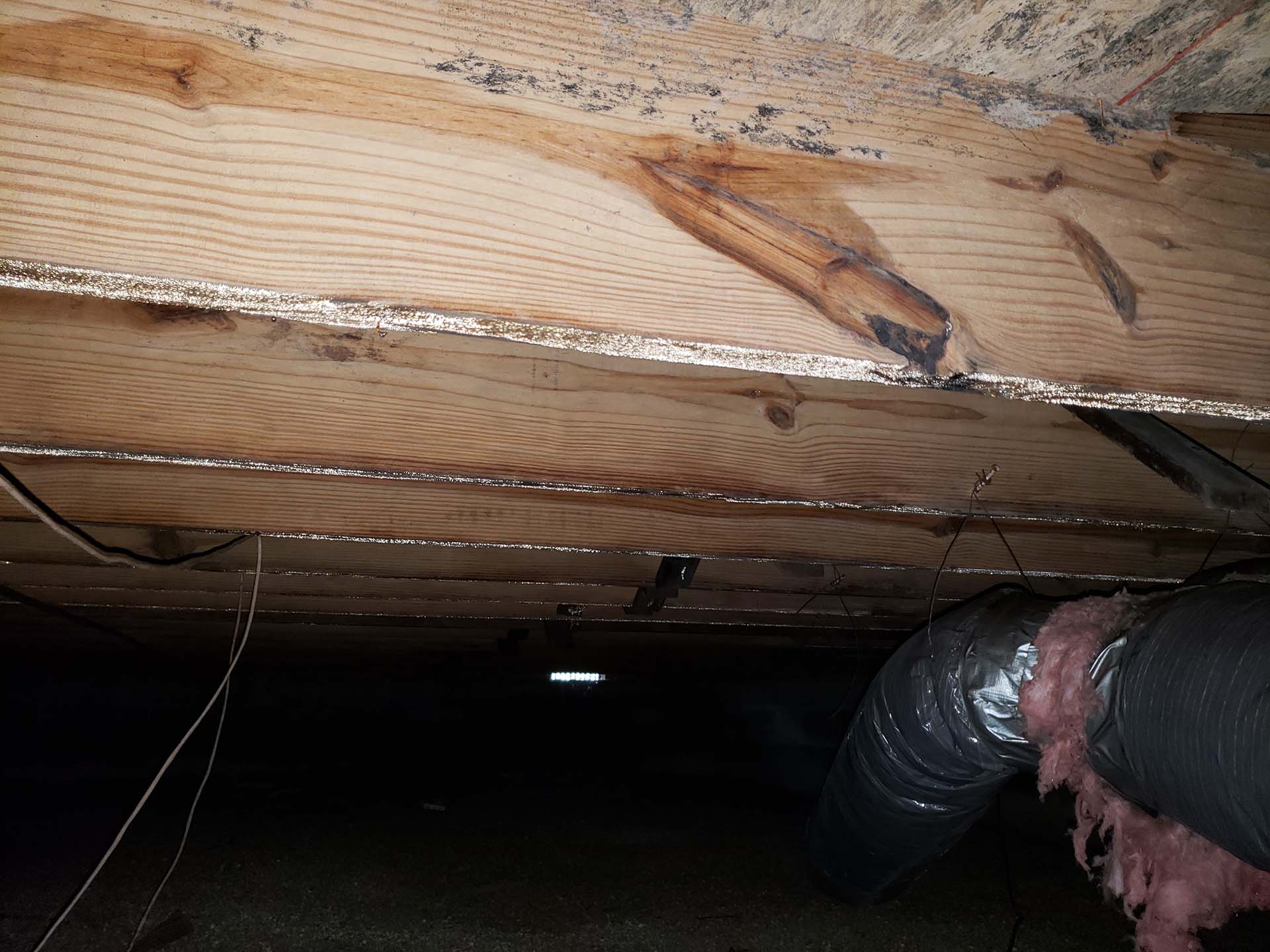 crawl space wood rot