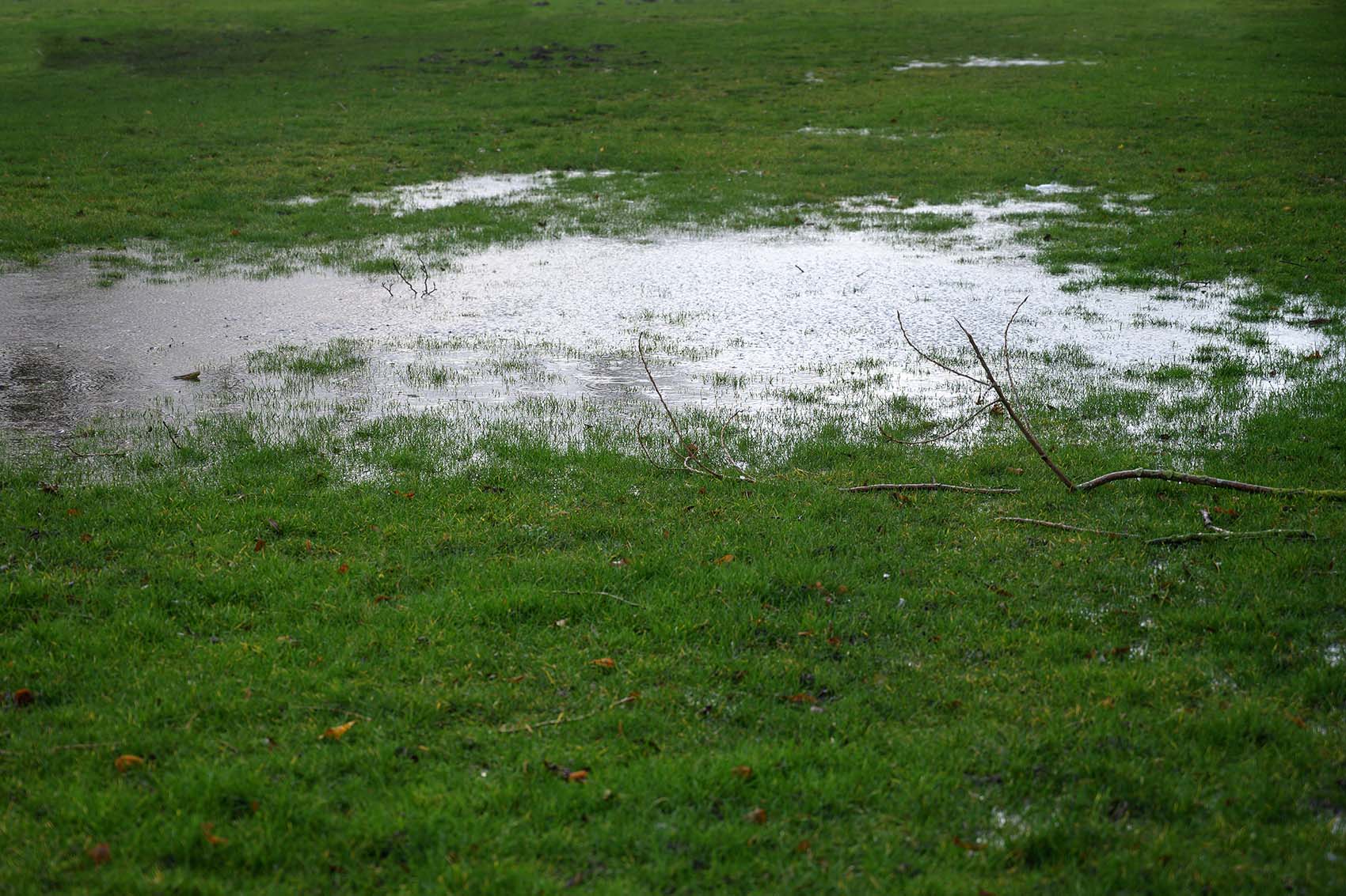 standing water in yard